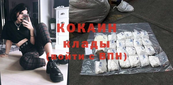 прущие грибы Вязьма
