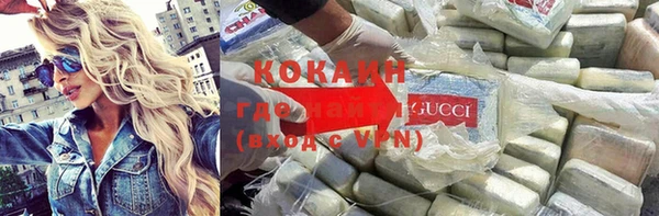 прущие грибы Вязьма