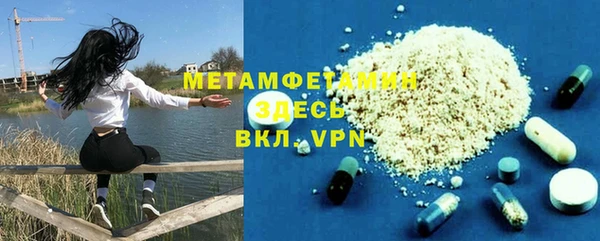 прущие грибы Вязьма