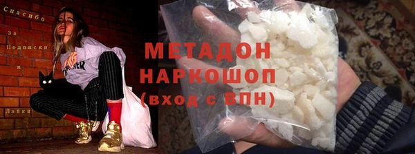 прущие грибы Вязьма