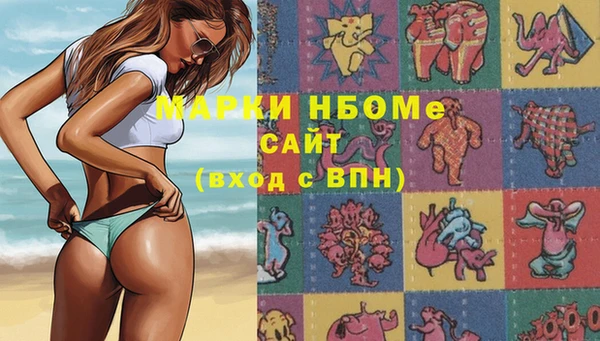 эйфоретик Вяземский
